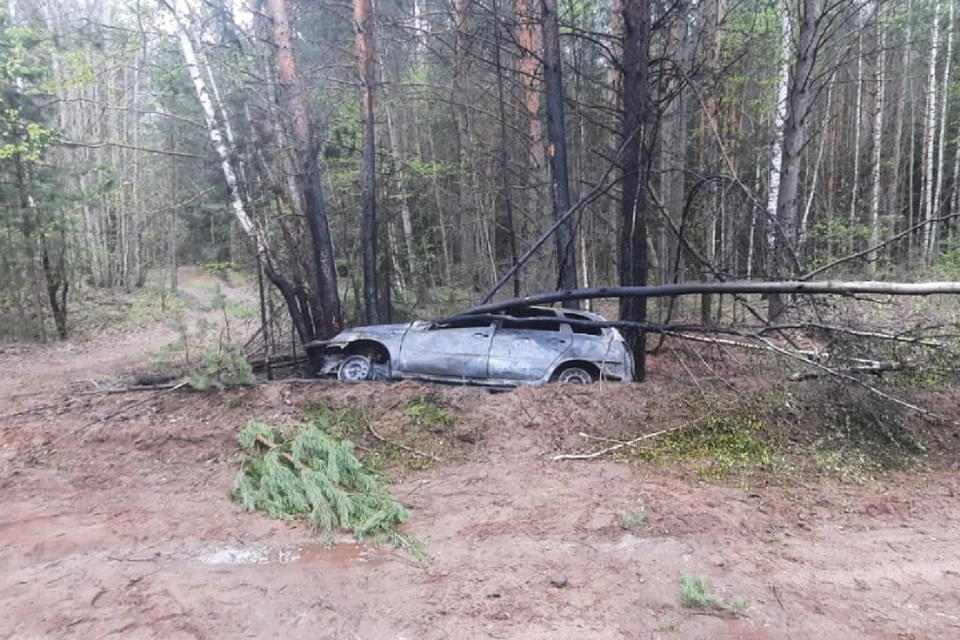 Машина вылетела в кювет и врезалась в дерево. Фото: ГИБДД Кировской области