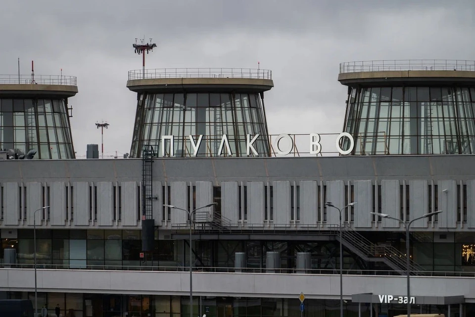 Суд обязал установить оборудование для наблюдения за птицами в аэропорту Пулково.