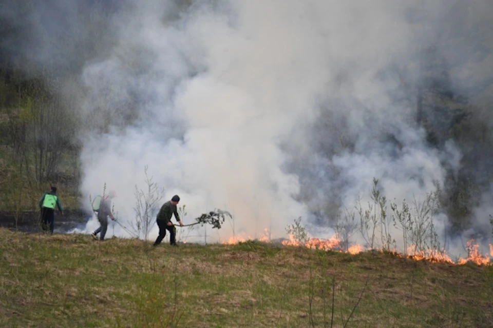 13 мая в Херсонской области произошли три пожара из-за ударов ВСУ