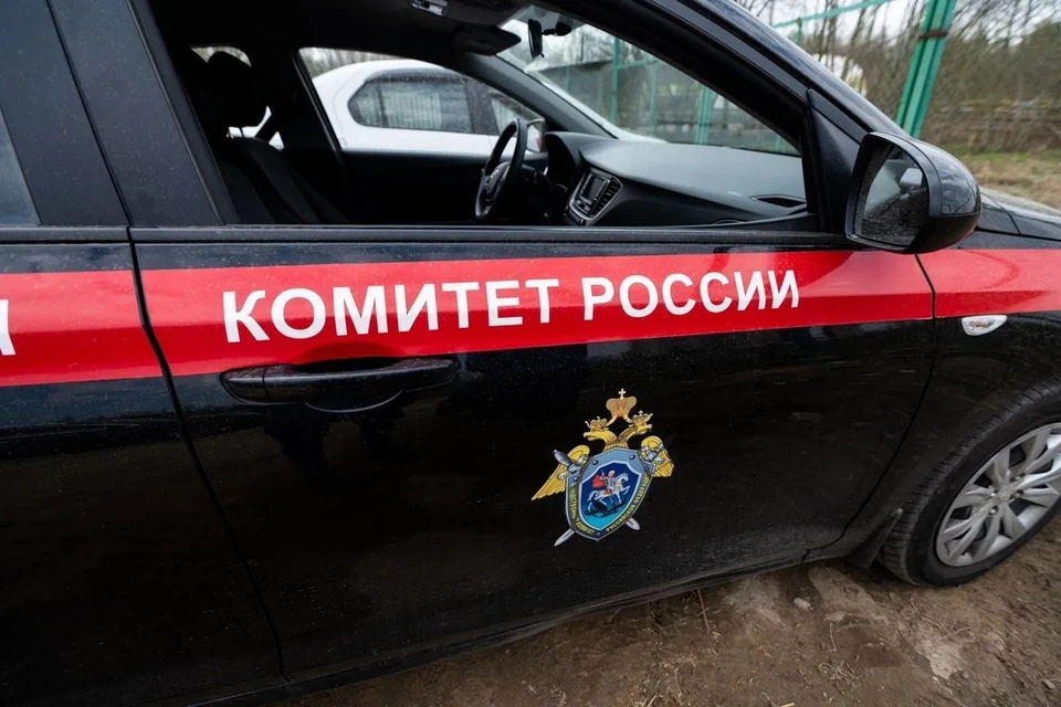 СК проверит инцидент с нападением питбуля на 63-летнюю пенсионерку в Петербурге.
