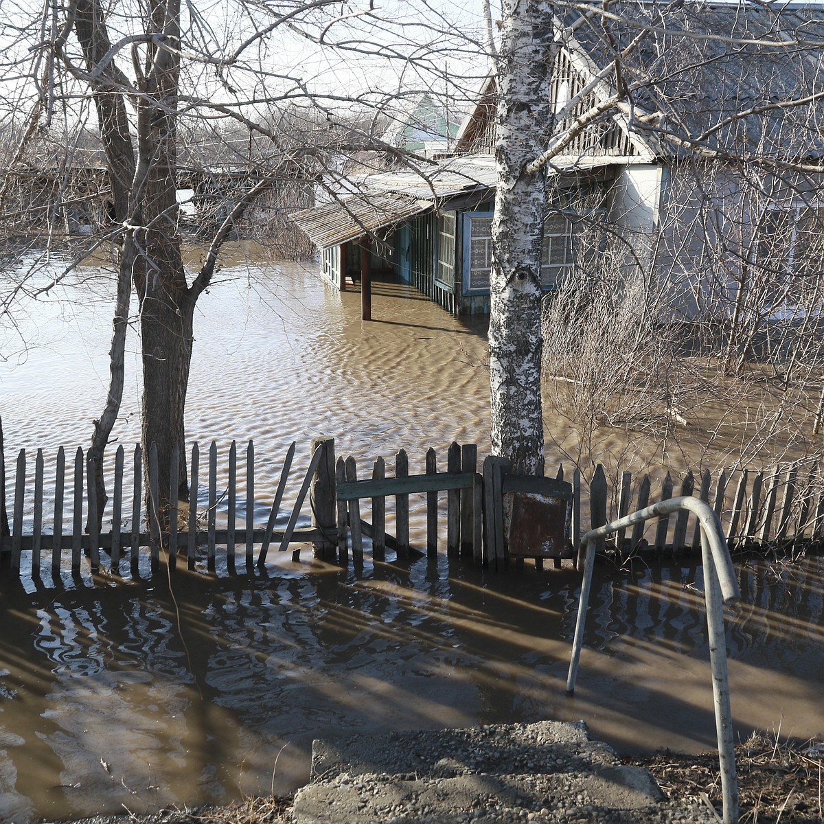 Паводок в Омской области: уровень воды в реках Иртыш и Ишим начал расти  медленнее - KP.RU