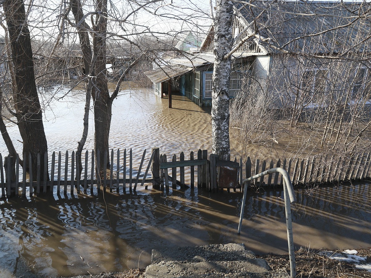 Паводок в Омской области: уровень воды в реках Иртыш и Ишим начал расти  медленнее - KP.RU