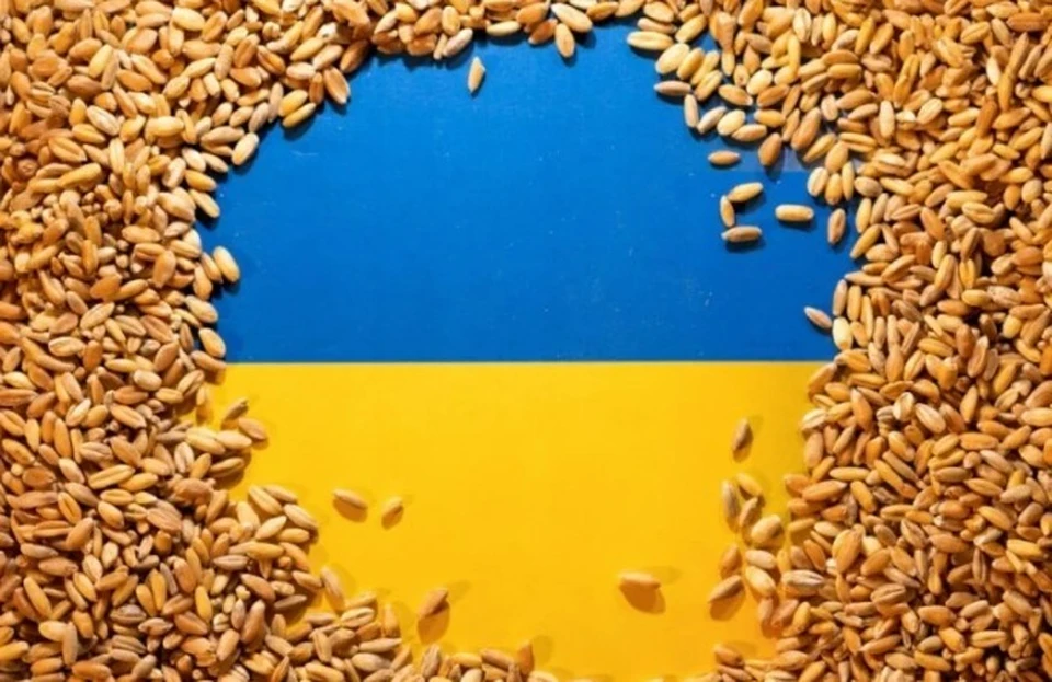 Украинское зерно, поставляемое в Румынию, могут выдавать за молдавское (Фото: соцсети).