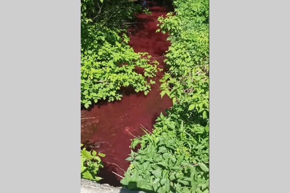 Вода окрасилась в насыщенный темно-красный цвет.