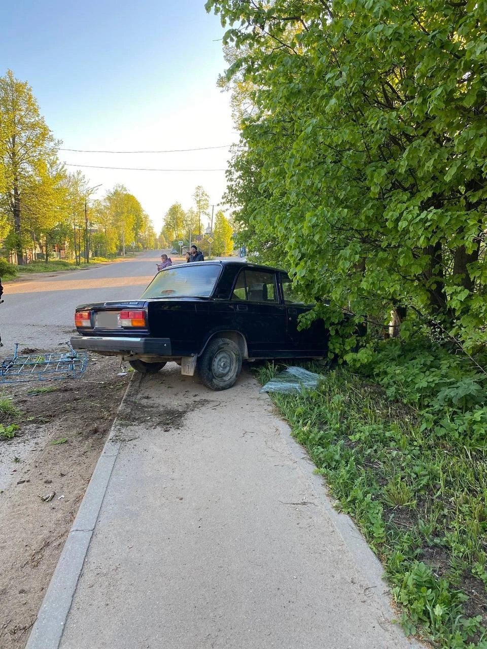 Пенсионер врезался в дерево в Вязьме - KP.RU