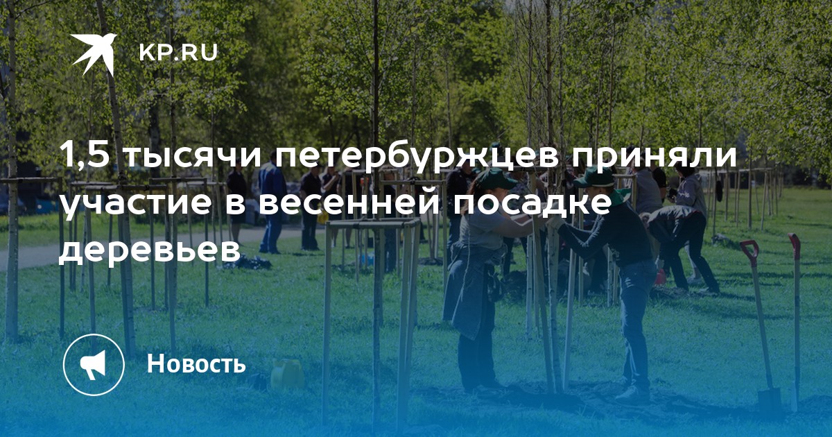 1,5 тысячи петербуржцев приняли участие в весенней посадке деревьев - KP.RU