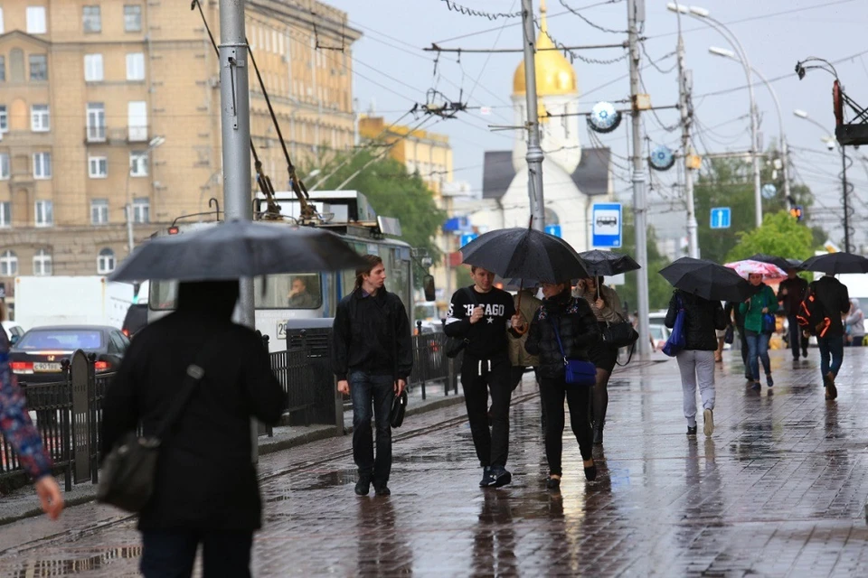 Городские службы устраняют последствия сильного ветра. Фото: администрация Новосибирской области.