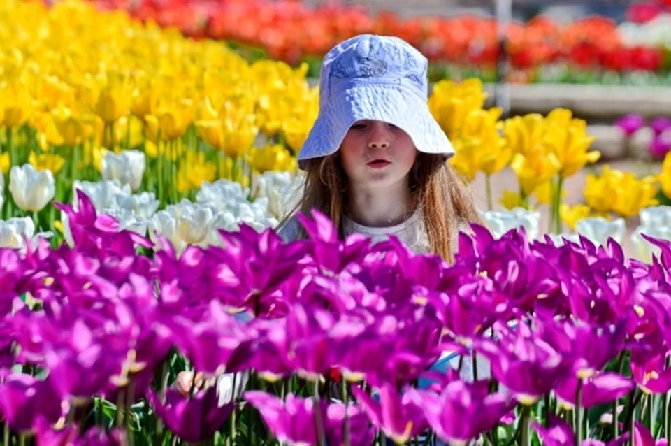 Акция «Дети - цветы жизни» пройдет в Якутске с 30 мая по 1 июня