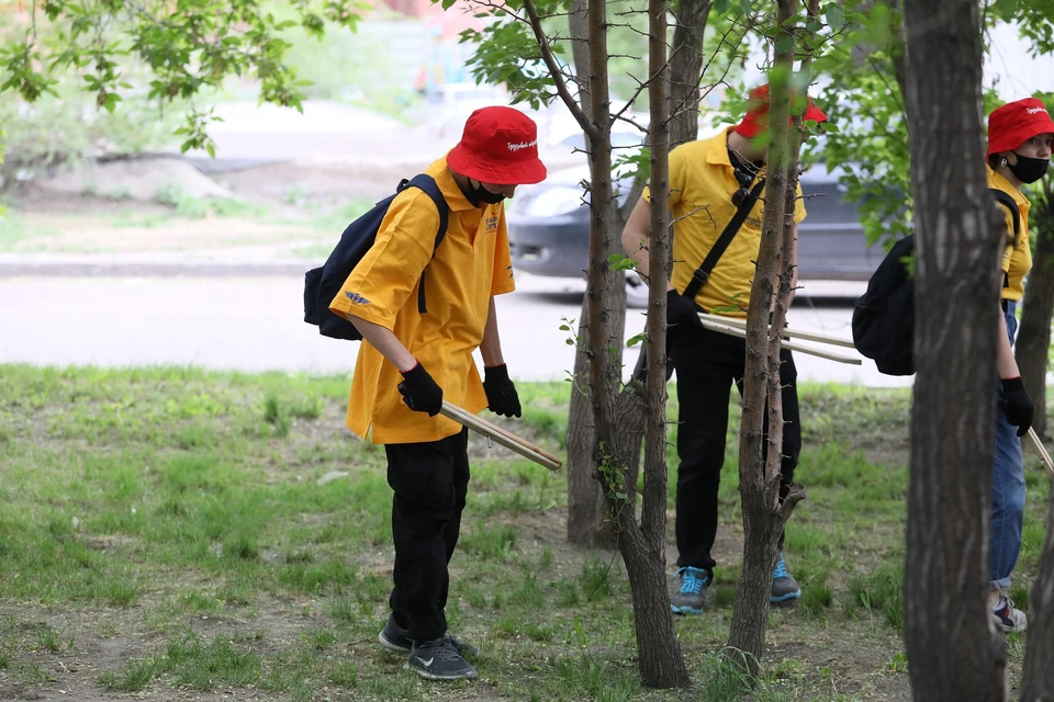 Красноярских школьников начали трудоустраивать на лето