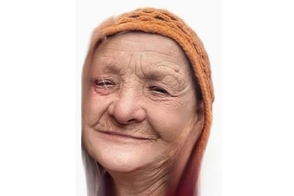 Подробности об исчезновении пенсионерки под Новосибирском рассказали её близкие. Фото: ПСО "ЛизаАлерт НСО".
