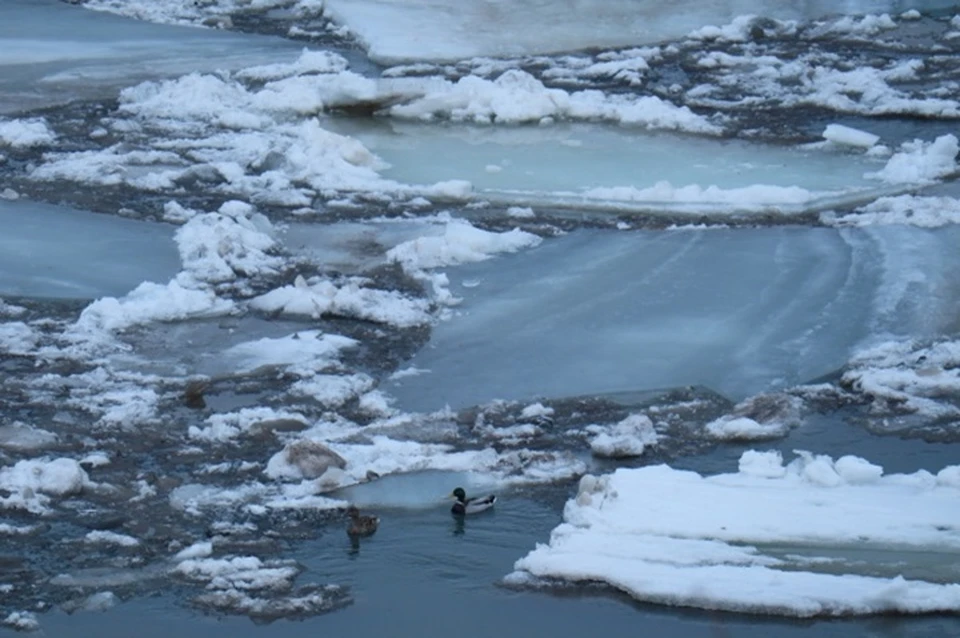 Активная фаза ледохода проходит в Булунском районе Якутии