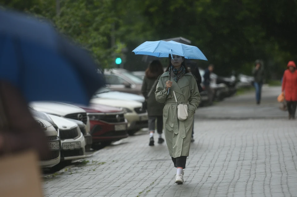 4 июня в Новосибирске пройдет дождь с грозой и похолодает до +14.