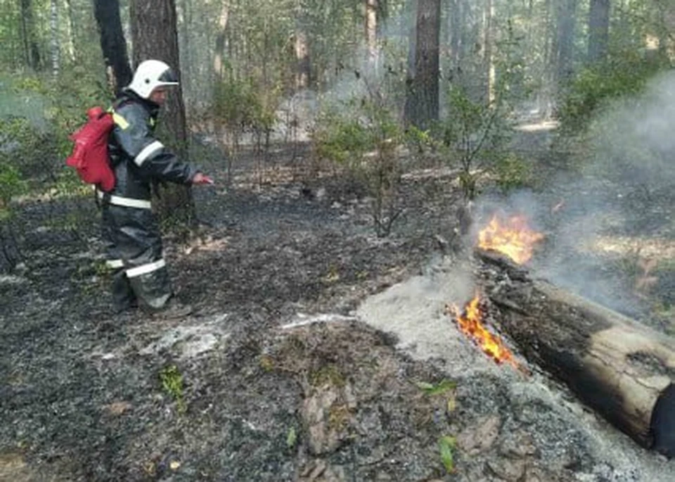 В Ульяновске на 2 месяца ввели особый противопожарный режим. ФОТО: администрация Ульяновска