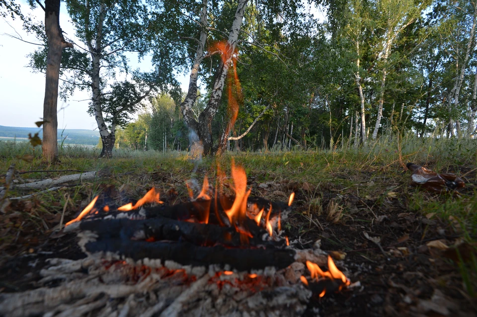 В Ульяновской области до конца лета дороги лесах закроют шлагбаумами