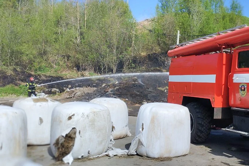Причины пожара и ущерб от него предстоит установить. Фото: Управление по ГОЧС и ПБ региона