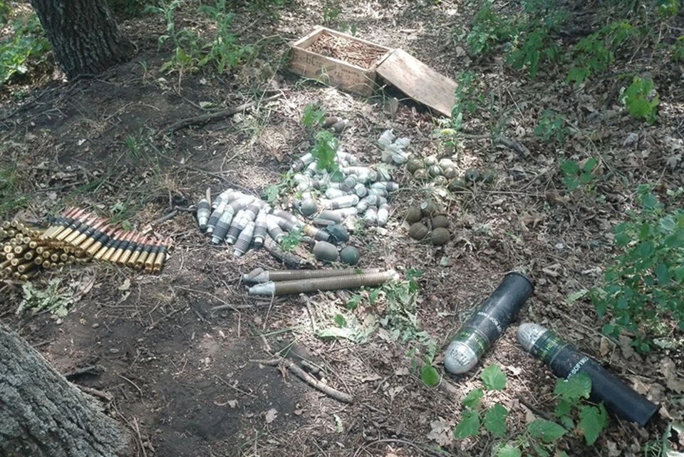 Тайник с боеприпасами нашли полицейские в лесу около села Герасимовка в Станично-Луганском районе. Фото - МВД ЛНР