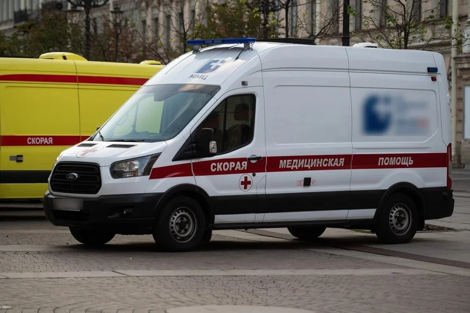 Четырехлетний ребенок получил серьезные травмы при падении с горки в Петербурге.