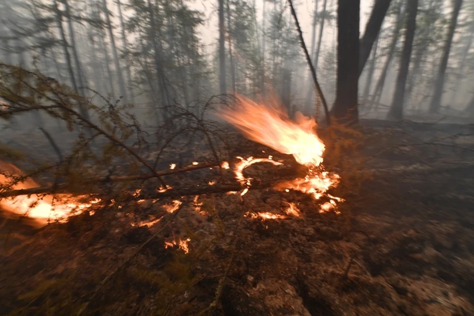 11 лесных пожаров в шести районах тушат в Хабаровском крае