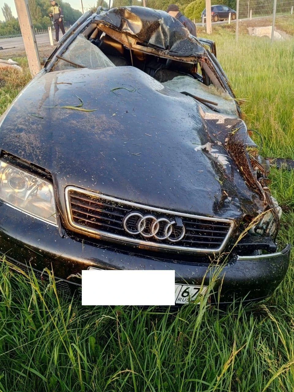 Два человека погибли: водитель сбил лося в Кардымовском районе Фото: Госавтоинспекция Смоленской области