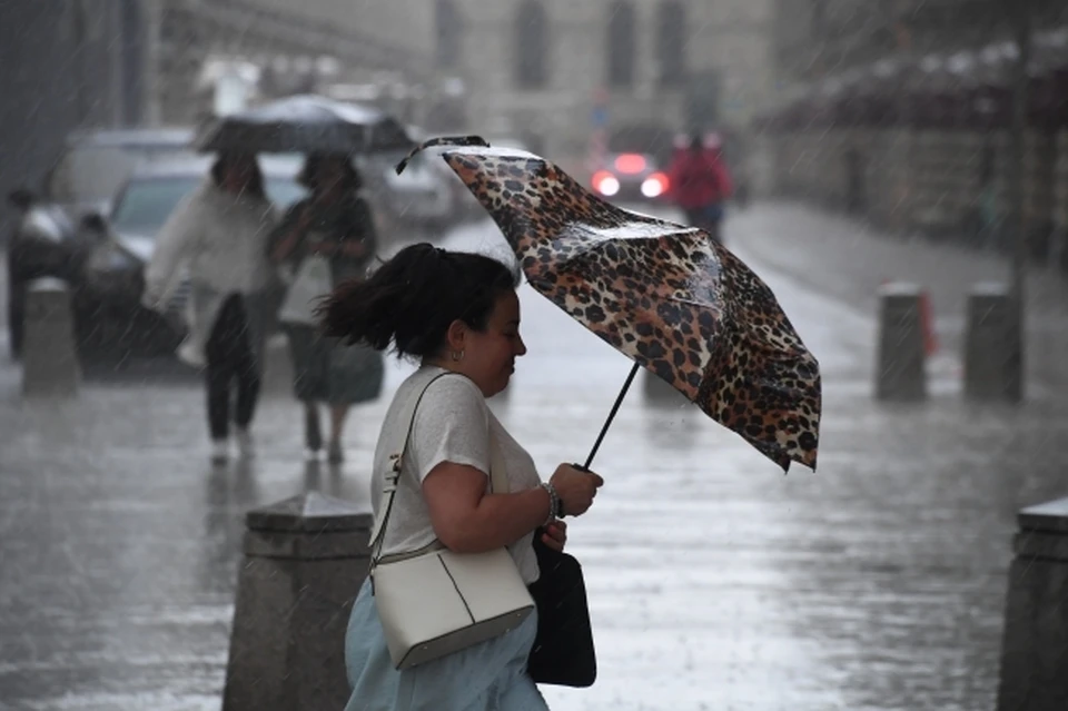 Дождь, гроза и сильный ветер: погода в Смоленске на 11 июня