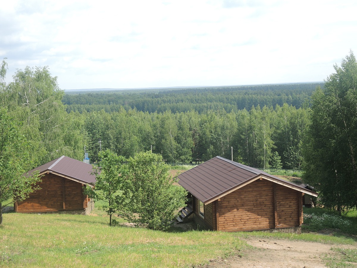 В Собинском районе открылась первая в регионе агротуристическая деревня -  KP.RU