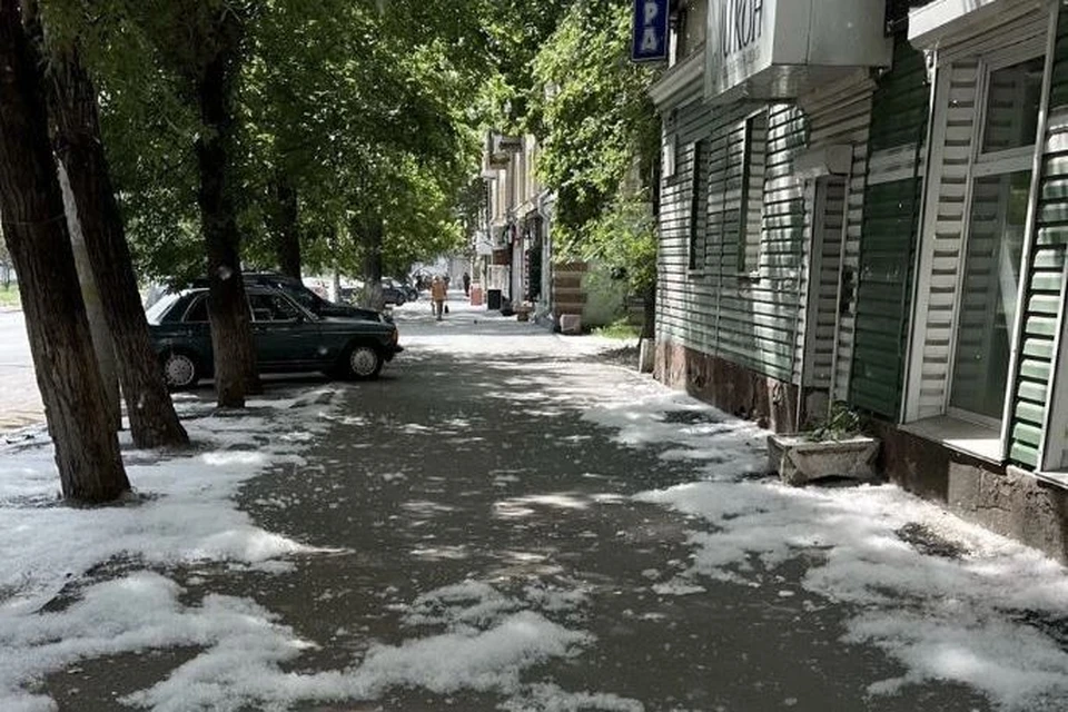 Пух дают только женские особи растения