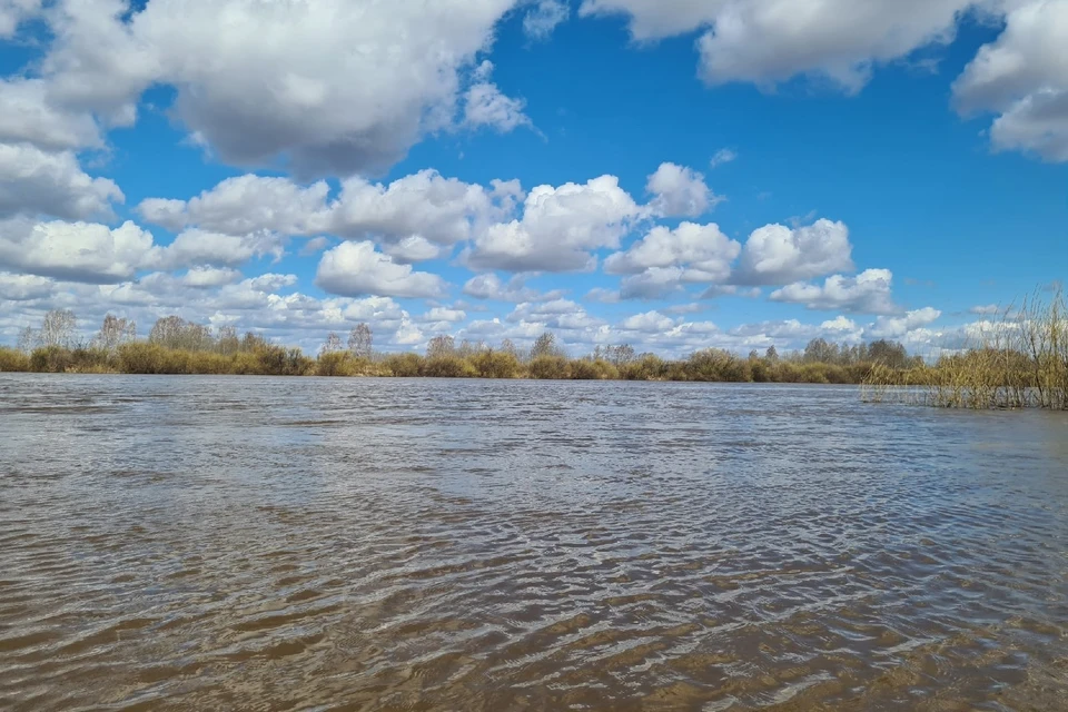 В реке Тура утонули двое подростков