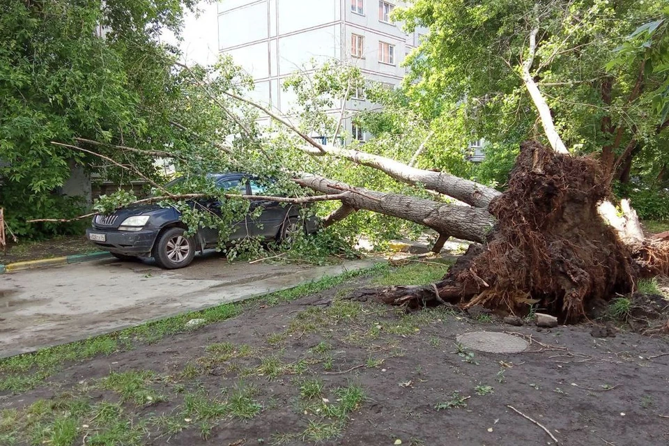 Основной удар пришелся на машину. Фото: предоставлено Романом