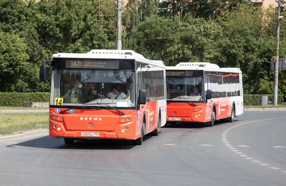 В Перми число пассажиров общественного транспорта увеличилось на 16 млн
