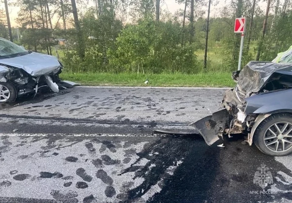 66-летний мужчина погиб в аварии в Калужской области