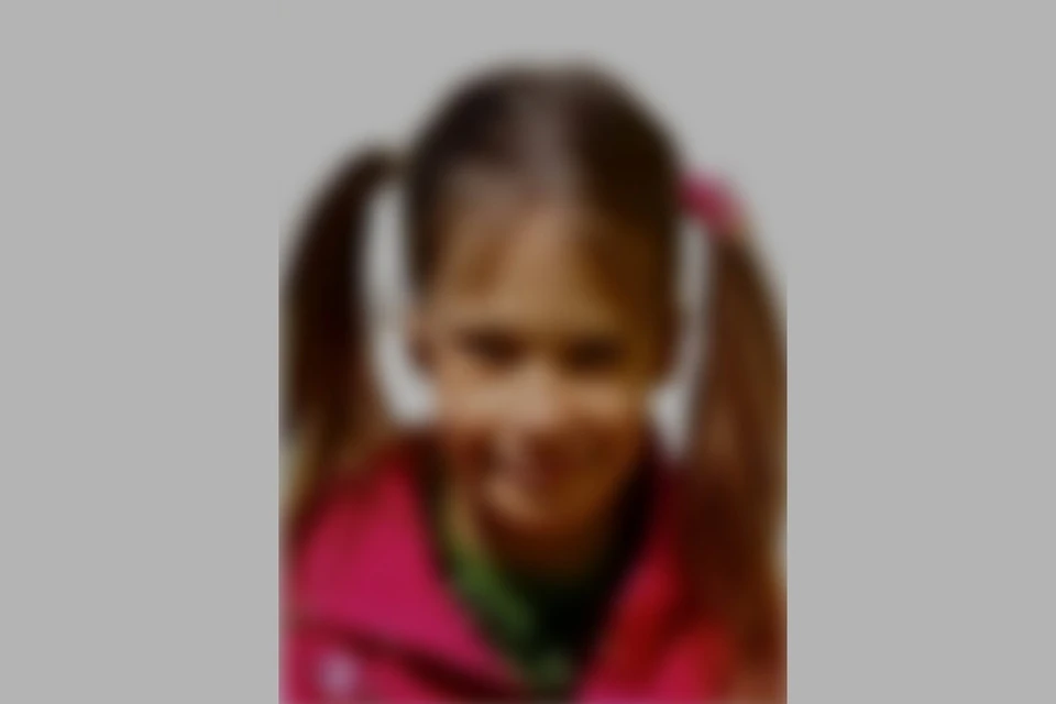 Стали известны подробности исчезновения 8-летней девочки в Новосибирске. ПСО «ЛизаАлерт НСО»