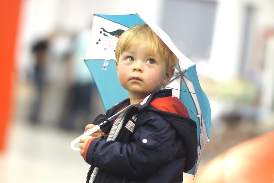 Погода в Ижевске на 22-23 июня - KP.RU