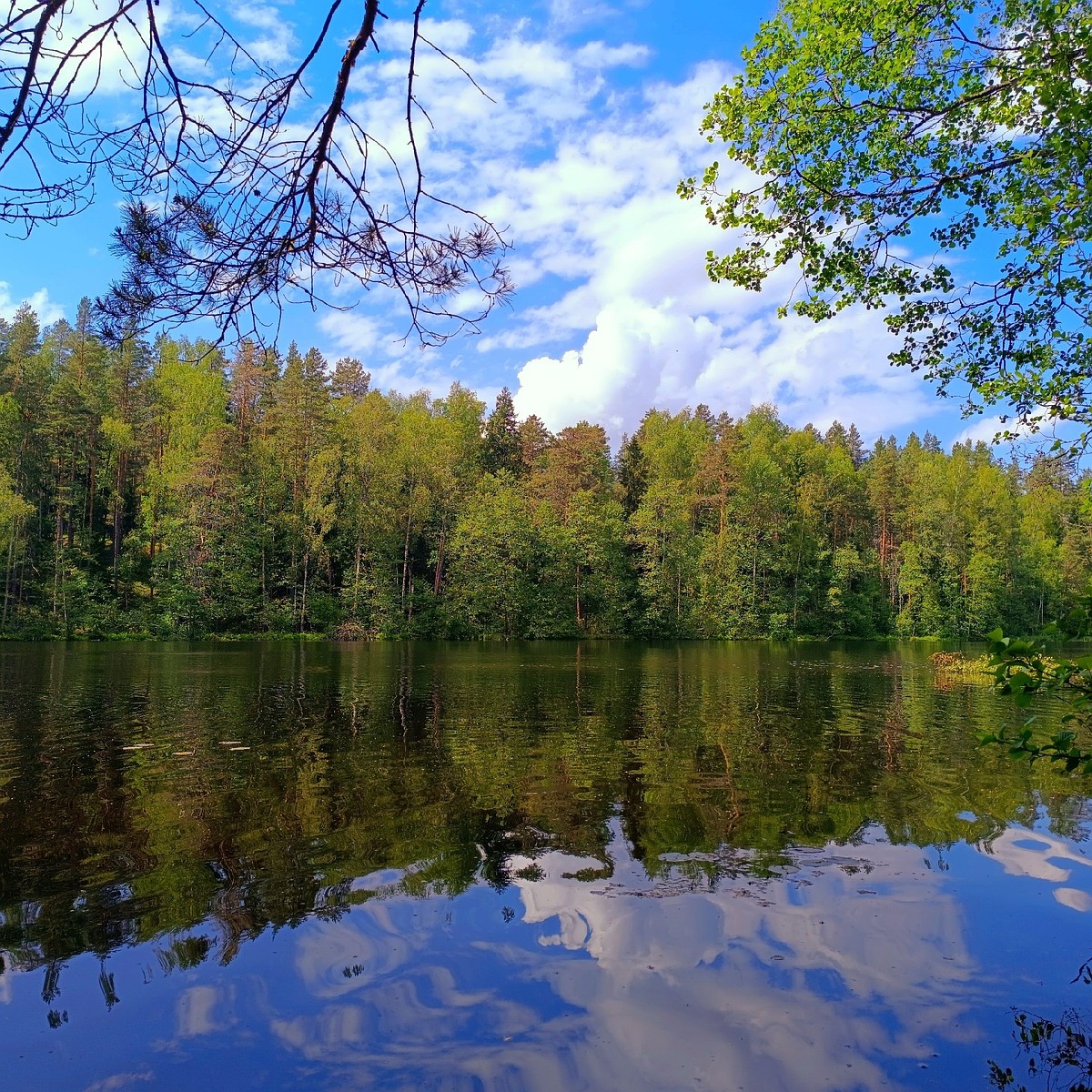 Названы пригодные и непригодные для купания места в Псковской области -  KP.RU