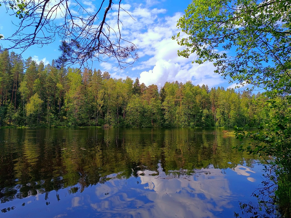 Названы пригодные и непригодные для купания места в Псковской области -  KP.RU