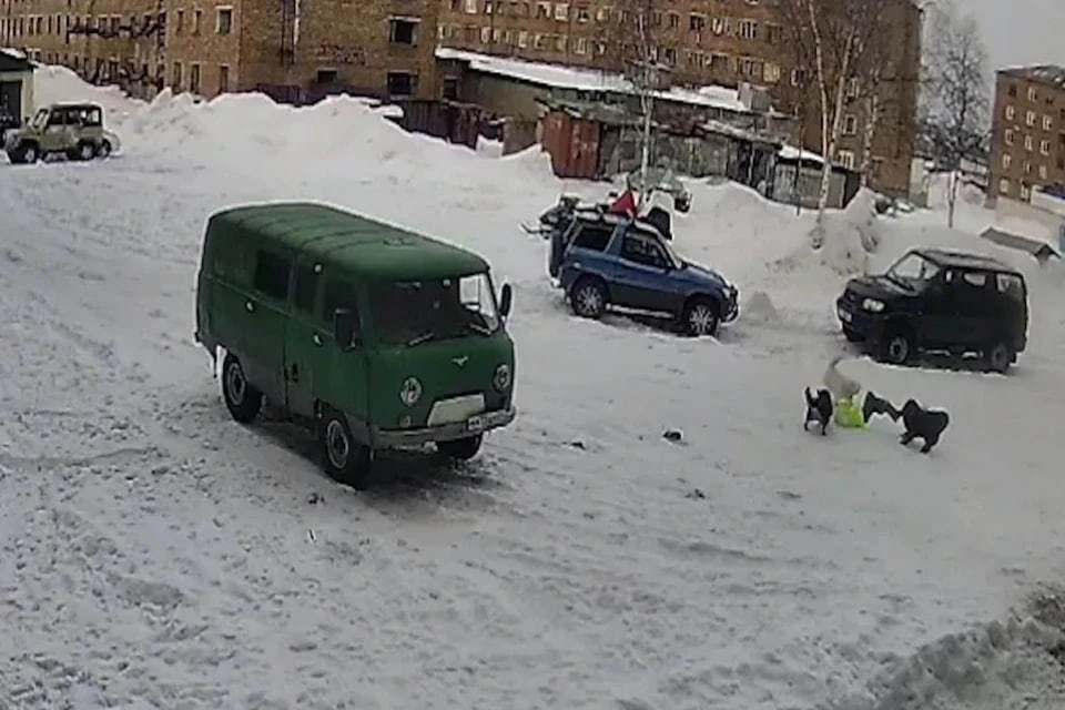 Фото: стоп-кадр видео прокуратуры Красноярского края
