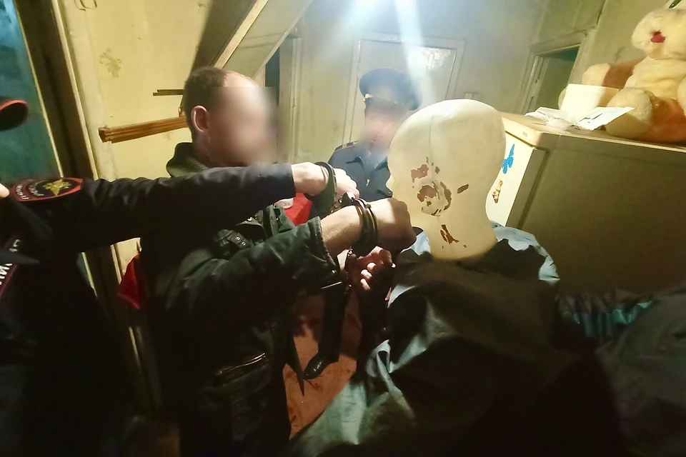 Житель Липецкой области до смерти избил соседку и поколотил сожительницу