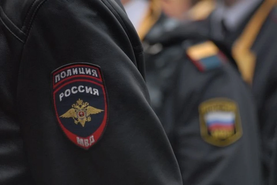 Рецидивист украл из магазина бытовую химию и алкоголь в Плавске Тульской области