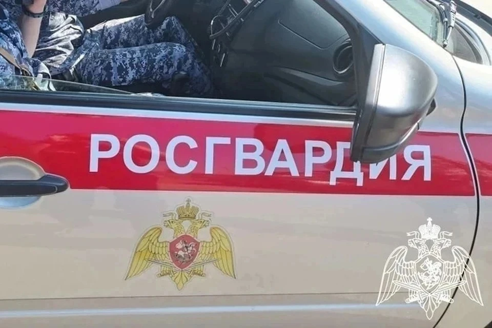 Двух жителей Липецкой области поймали росгвардейцы за кражу товаров из магазинов