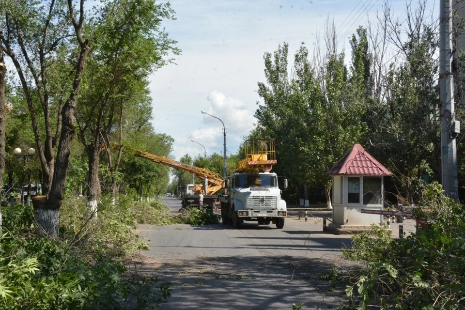 На время опиловки на улице ограничивают автомобильное движение