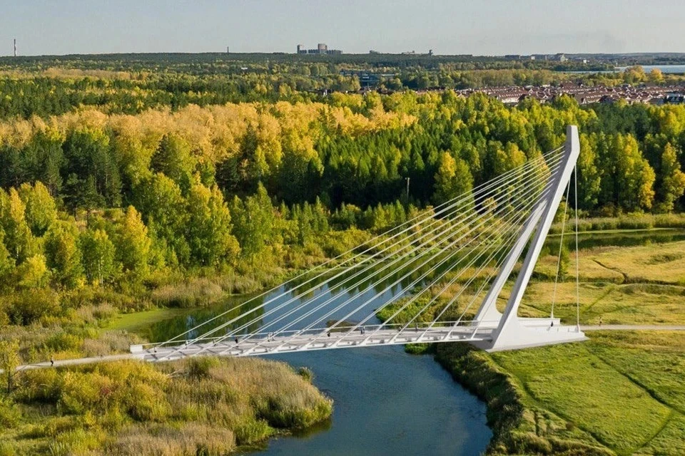 Таким планируется велопешеходный вантовый мост в городской бор. Фото: «КОНАР»