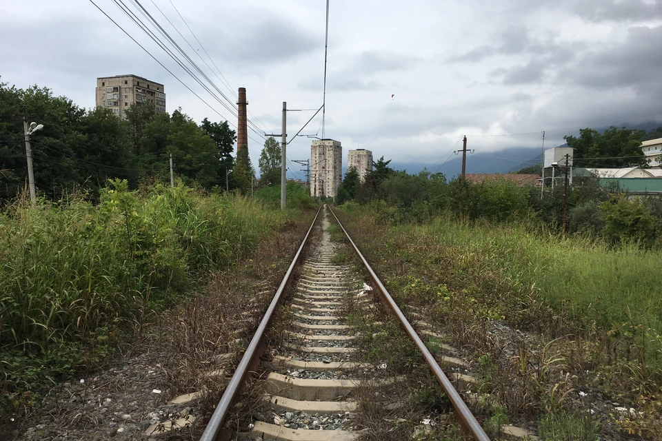 Тематическая фотография.