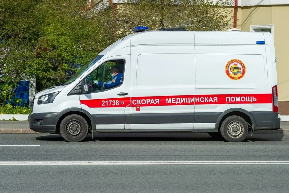 Рабочий погиб из-за упавшего на него дерева в Ленобласти.