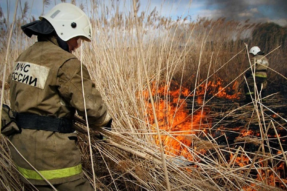 На территории ЛНР зафиксировали рост числа природных пожаров. Фото - МЧС ЛНР
