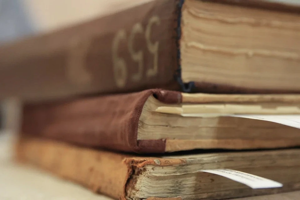 Петербуржец попал под суд за хищение пакетов с книгами у прохожего.