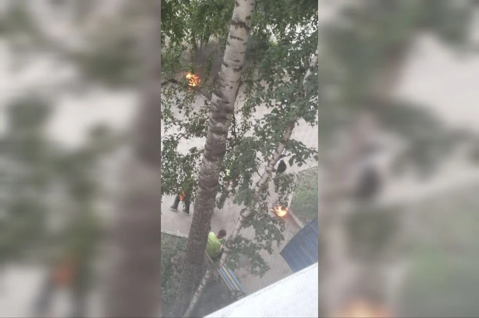 Фото: МВД по Красноярскому краю