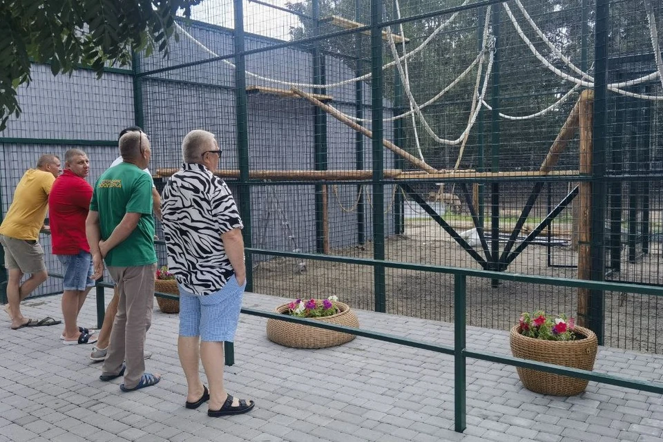 Новый вольер для гиббона