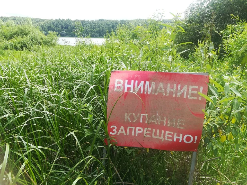 10-летняя девочка утонула в Волге в Городецком округе