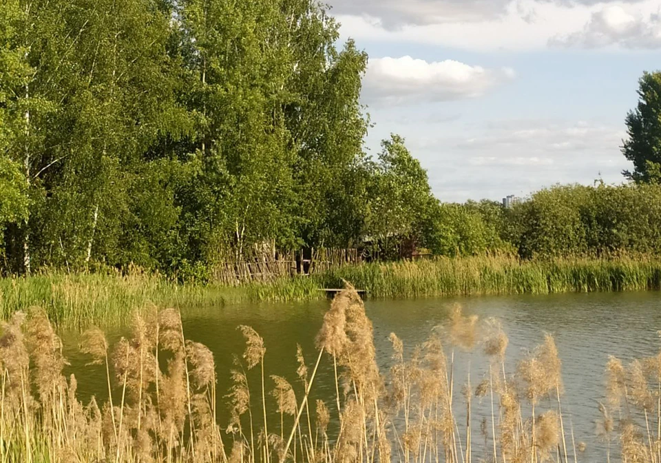 Лето в самом разгаре. Фото: архив КП