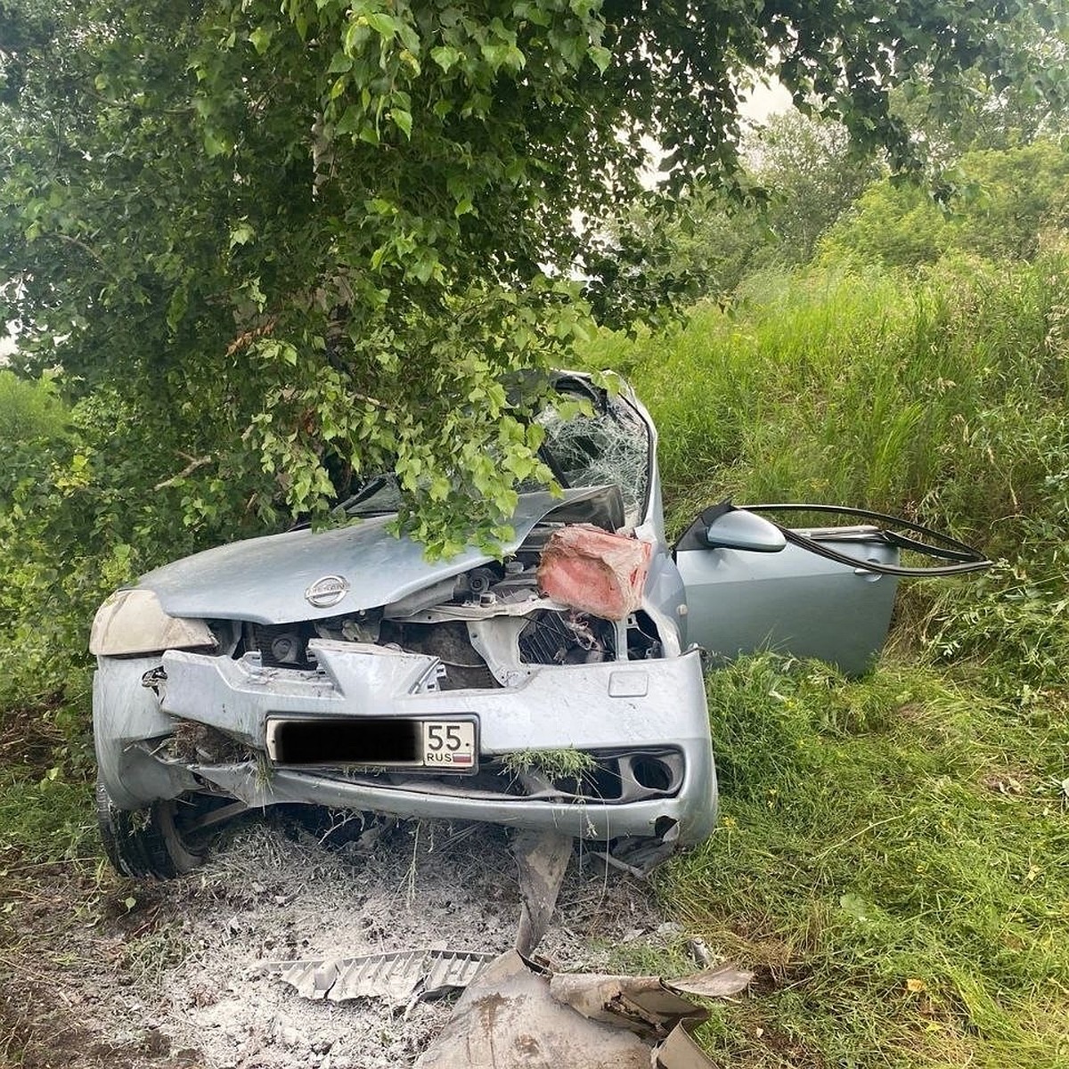 Под Омском «Ниссан» вылетел в кювет и врезался в дерево, водитель погиб -  KP.RU