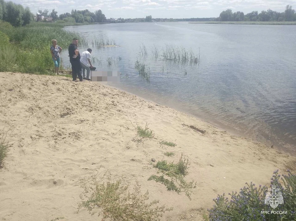 В Димитровграде на реке Большой Черемшан утонул 37-летний мужчина. ФОТО: тг-канал МЧС УО
